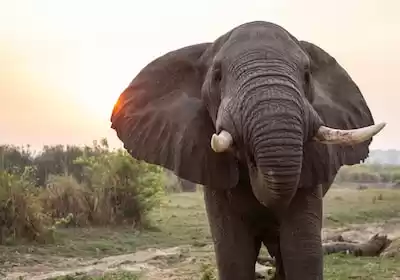 Uganda