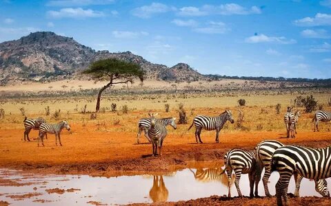 Kenya