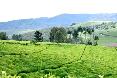 Burundi