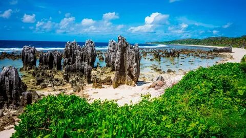 Nauru'lu