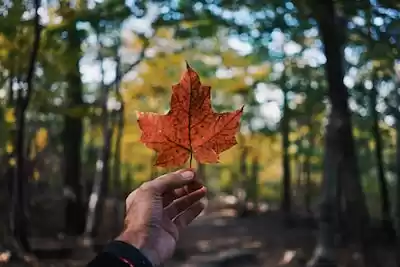 Kanada