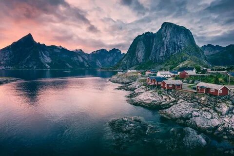 Norveç