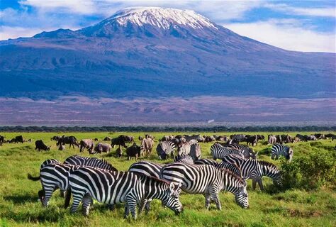 Kenya