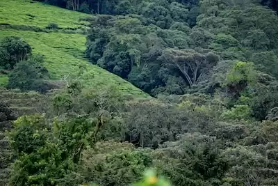 Burundi