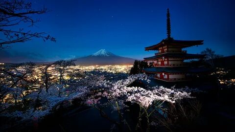 Japonya