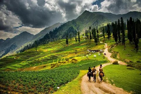 Pakistan