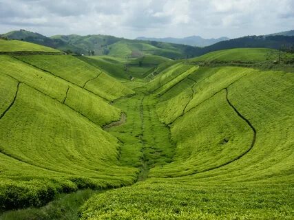 Ruanda