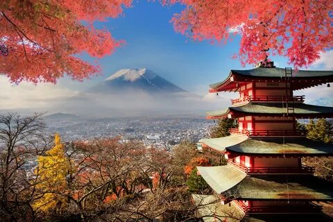 Japonya