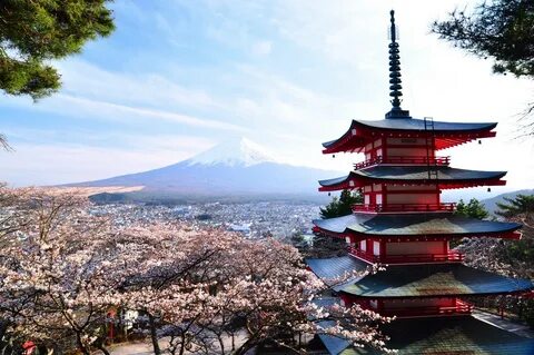 Japonya