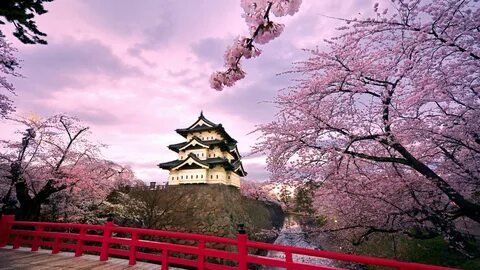 Japonya
