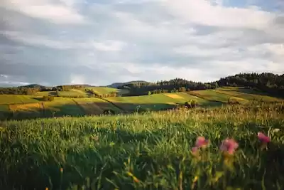 Polonya