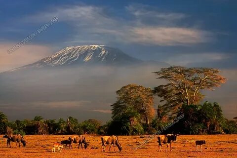 Kenya