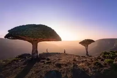Yemen