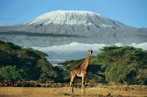 Kenya