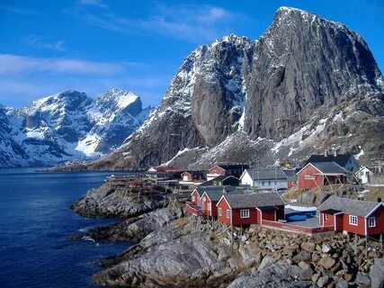 Norveç