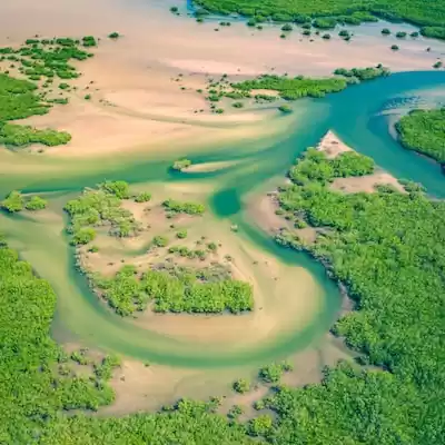 Senegal