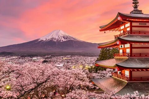 Japonya