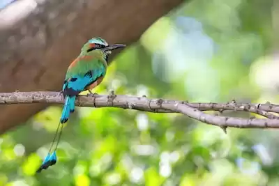Nikaragua