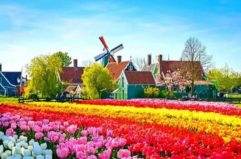 Hollanda