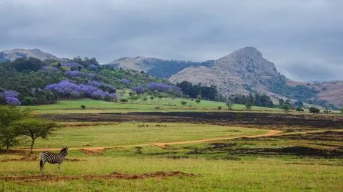 Svaziland