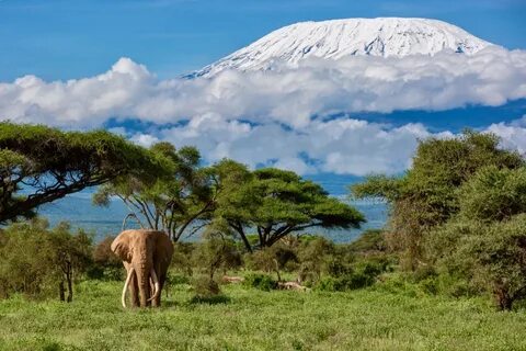 Kenya
