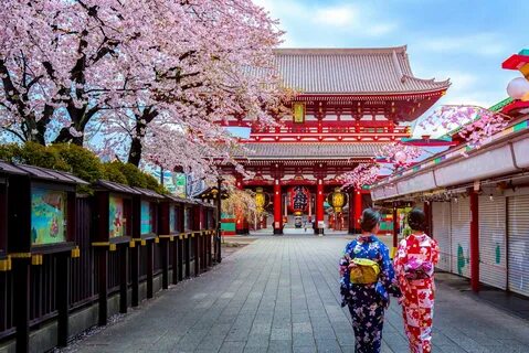 Japonya