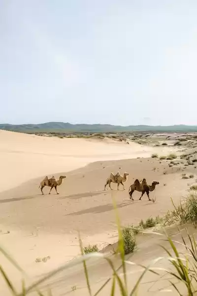 Moğolistan