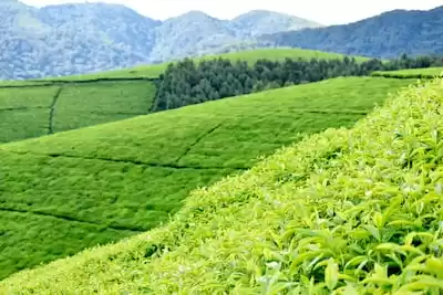 Burundi