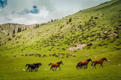 Kırgızistan
