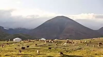 Moğolistan