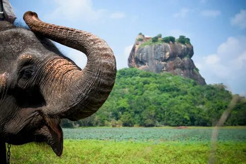 Sri Lanka