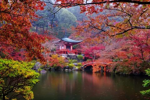 Japonya