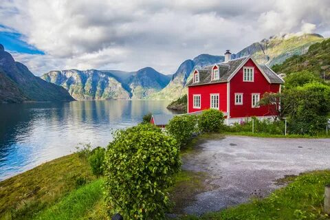 Norveç
