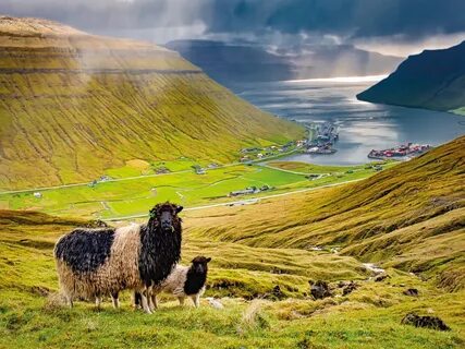 Faroe Adaları