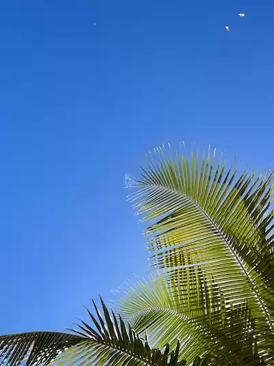 Sint Maarten (Hollanda kısmı)
