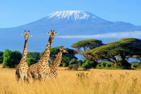 Kenya