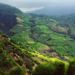 Mazenderan
