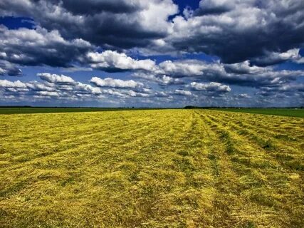 Voyvodina