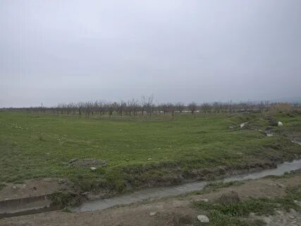 Şabran Bölgesi