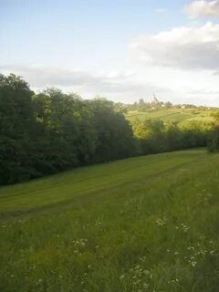 Sveti Jurij - Slovenskih Goricah Belediyesi