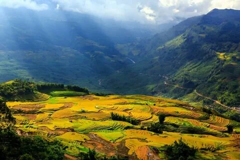 Điện Biên