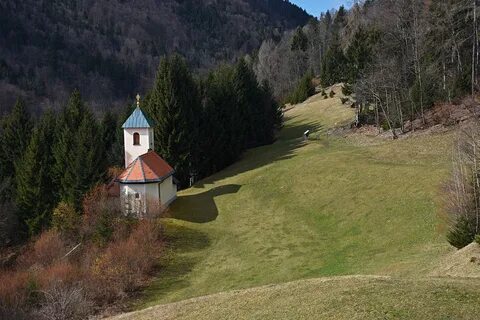 Sveti Tomaz Belediyesi
