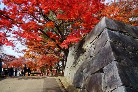 Iwate Eyaleti