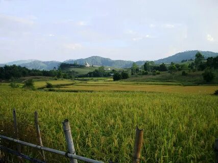 Xiangkhouang Province