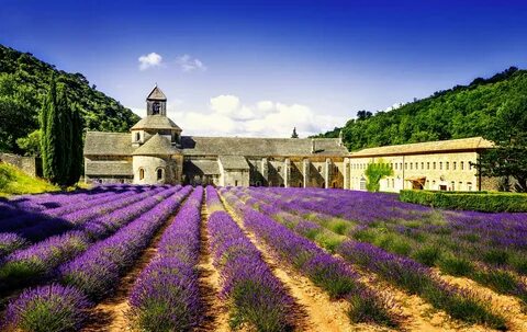 Vaucluse
