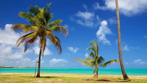 Luquillo