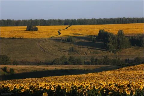 Lipetsk Oblastı