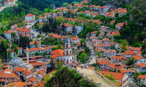 Bolu