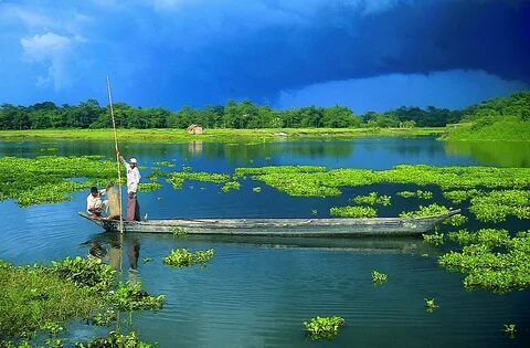Chuadanga Bölgesi