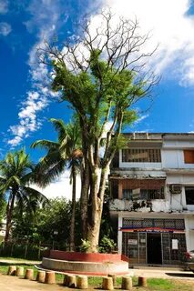 Sunamganj Bölgesi